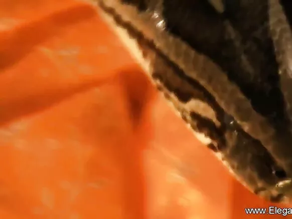 සරාගී වීඩියෝ චිත්රපටයක බොලිවුඩ් නිරුවත් සමීප සංදර්ශනය