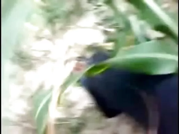 ඉන්දියාවේ දකුණු මිනිසුන් සරාගී චිත්රපට නැන්දා සෙක්ස් සෙක්ස් ග්රිල්ලා