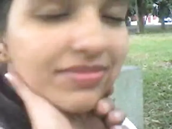 උද්යානයේ සරාගී වීඩියෝ ලැමර් වාහන නැවැත්වීමේ විනෝද වීම