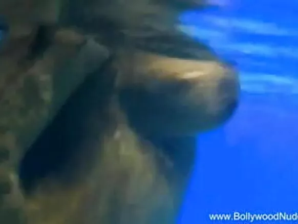 නව ආදරය නර්තන නිල් රූපය සරාගී ජලය