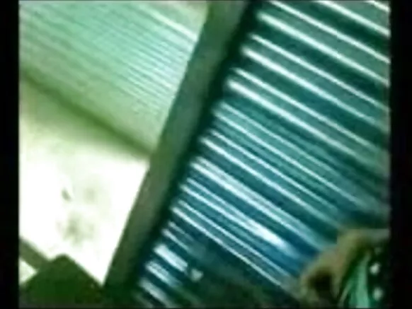 ද්විතීයික පකි පාකි ද්විතීයික ශිෂ්ය ලිංගික අපකීර්තිය සරාගී සත්ව චිත්රපටය