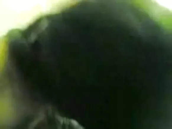 ඉන්දියානු සරාගී චිත්රපටවල හොඳ නව ඉන්දියානු වීඩියෝ.