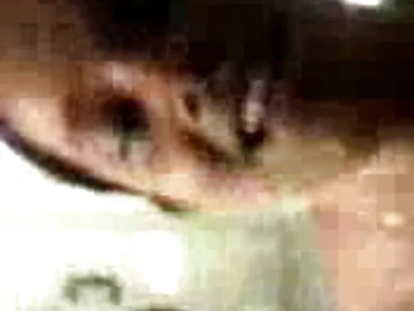 සරාගී ඉන්දියානු සරාගී සරාගී චිත්රපටය දමිළ සරාගී ලිංගිකත්වය දැඩි ලිංගික ක්රියාවකින් පසු ස්නානය කරන්න