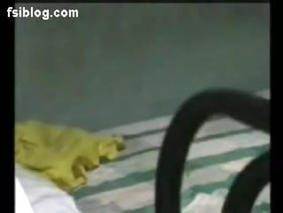 ඉන්දියානු ඉන්දියානු ඉන්දියානු සරාගී ඩුරියස් නොවියෝ චිත්රපටය