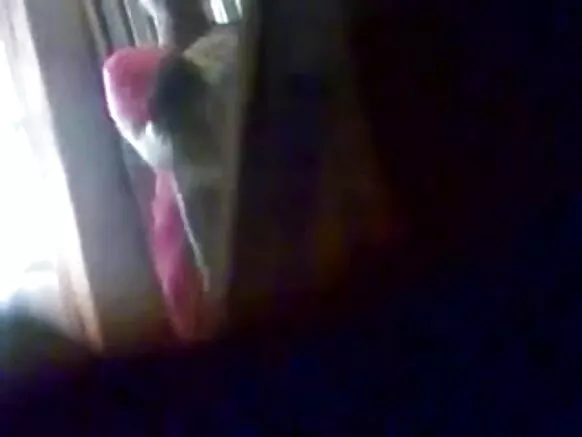 විශාල බංග්ලාදේශ හින්දි නිල් සරාගී නිල් වංකගිරිය රසවිඳිමින්