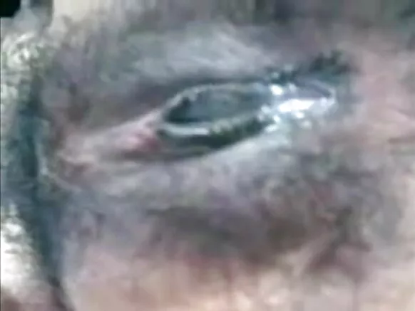 බංගලිදේශයේ Aishwarya Rai Ki Sexy Film Bhabhi Selfie Mobile For Her Husband P2