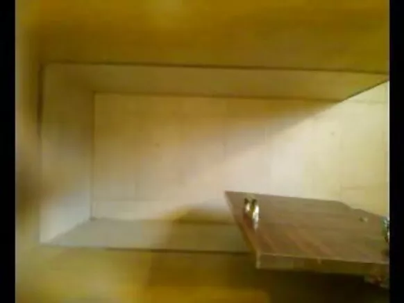 මේරියම් සරාගී විෂය හින්දි චිත්රපටය