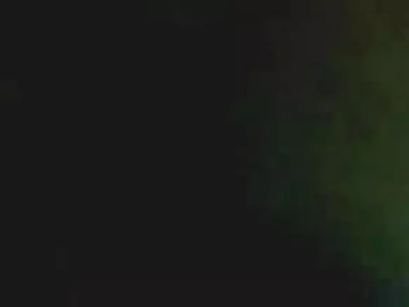 ගණිත මහාචාර්ය