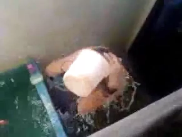 වයර් ෂවර් ලිංගික සිතියම වයර් ෂවර්