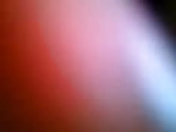 සරාගී සතුන් සරාගී ව්යාජ ලිංගික වීඩියෝව