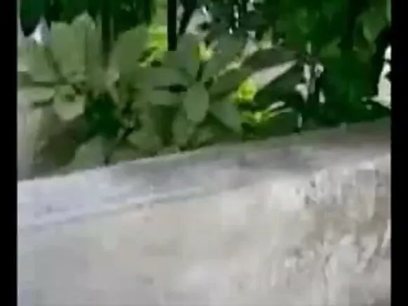 ඩෙසි ඉන්දියන් ගෑණු ළමයෙක් ජීන්ස් ඇඳගෙන පුටුවේ ඉන්න හින්දි සරාගී රූප චිත්රපටිය