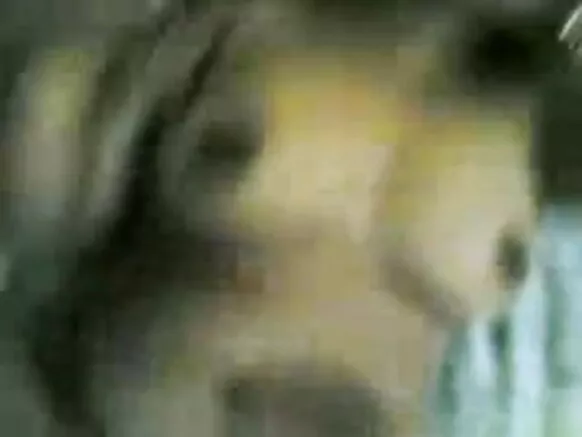 මලයාලම් නිළිය, සරාගී චිත්රපට නිෂ්පාදකවරිය නිෂ්පාදක සමඟ විවෘත වීඩියෝවක්