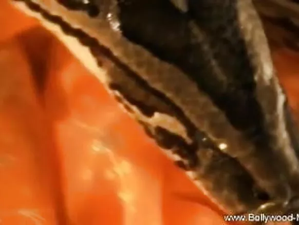 භාරත් සර්ප භෝජ්පූරි චිත්රපටයේ ලිංගික වීඩියෝ හොටී සහ ඇදහිය නොහැකි නර්තන ශිල්පියා