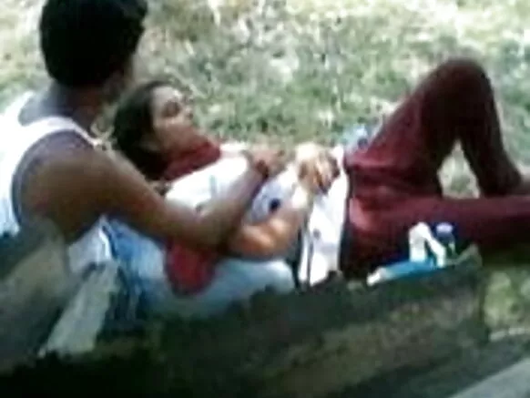 ඉන්දියානු යුවල, වාහන නැවැත්වීම, තුළ, උද්යානය, ඉන්දියානු, හින්දි, නිල්, රූපය