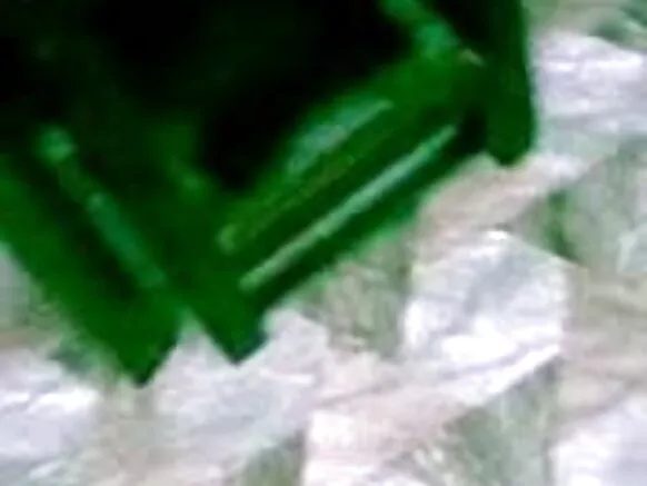 දෙමල සරාගී චිත්රපට හයක දමිළ දැරිය කටින් ශුක්රාණු ලැබේ