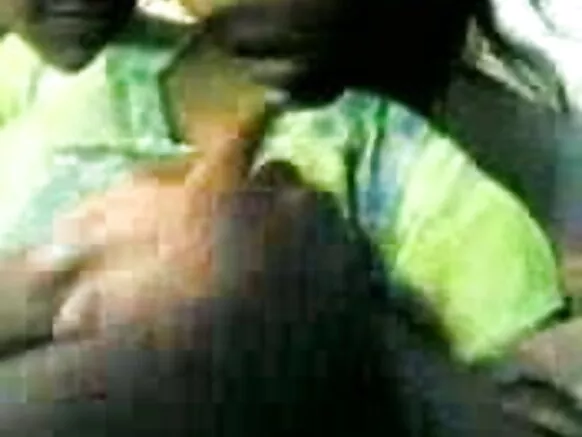 ඉන්දියාවේ සත්ව වාලා සරාගී චිත්රපට වීඩියෝව