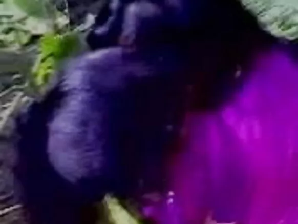 ආධුනික ඉන්දියානු ගැහැණු ළමයින් සිප ගන්නා සරාගී ආධුනික චිත්රපටය.