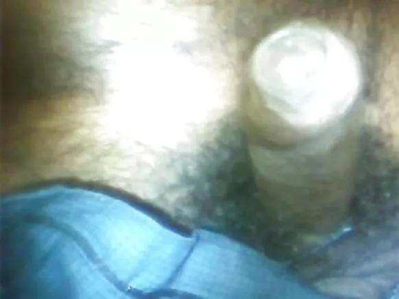 කුකුළා සම්බාහන වීඩියෝ වීඩියෝ සරාගී වීඩියෝ සරාගී ඡායාරූපය