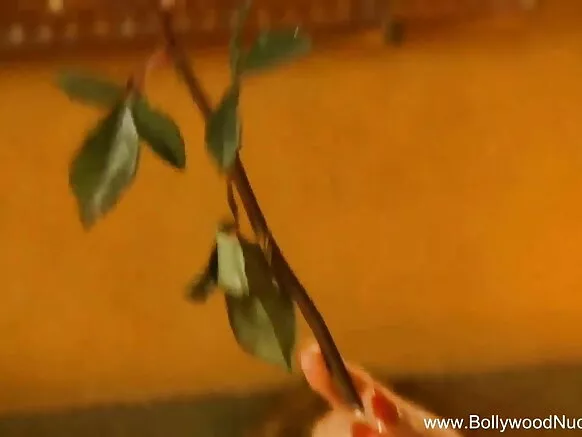 ඉංග්රීසි නිල් වීඩියෝවෙන් ඉන්දියානු පෙම්වතා තනි වෙයි