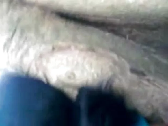 ඉන්දියා ඇන්ටි හින්දි hd සරාගී චිත්රපටය 1335