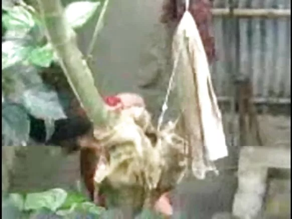 දේශී කෙල්ල නාන දේශී එළිමහන් ලිංගික චිත්රපට වීඩියෝ එළිමහන්