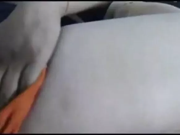 ස්වාමිපුරුෂයා ස්වාමිපුරුෂයා වූ විට, බල්ලා සහ ගැහැණු ළමයා සරාගී චිත්රපට කාමුක දර්ශනවලට සහ කුකුළාට ඇබ්බැහි වේ