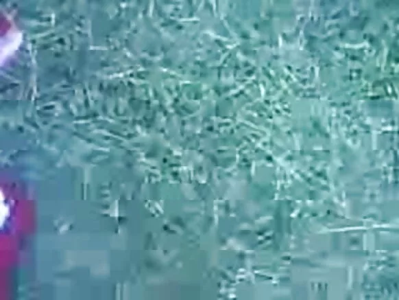 උතුරු ඉන්දීය මමා චිකා මම්මඩා මැම්ප් සාම්පල