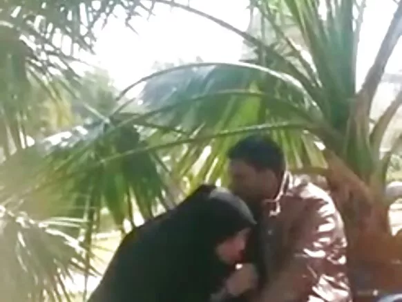 වාහන නැවැත්වීම