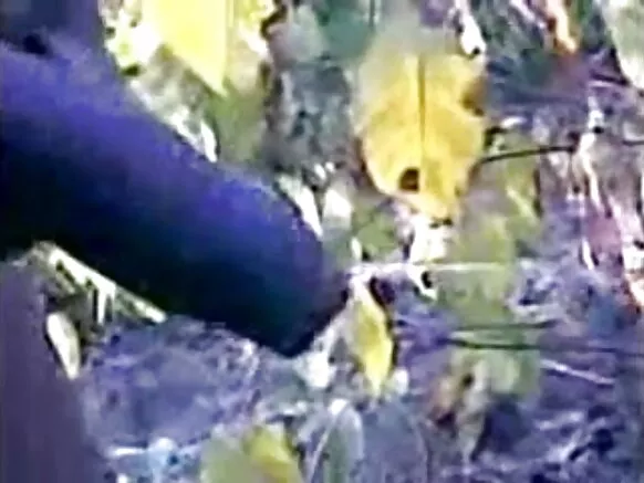 තෙළිඟු රන්දි හින්දි සම්පූර්ණ සරාගී චිත්රපටය සෙල්වා තෙළිඟු ලිංගික ලිංගිකත්වය