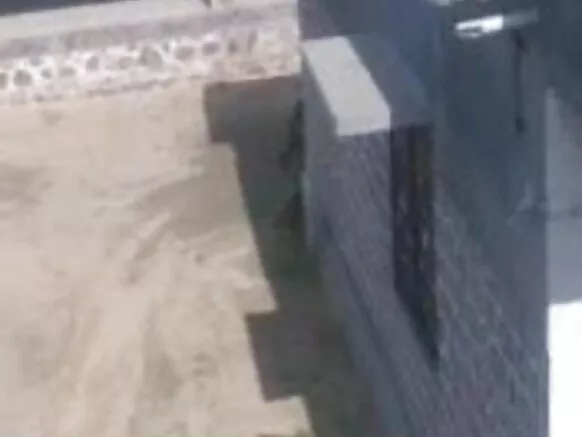 පෙම්වතා සහ පෙම්වතිය ලිංගිකව හැසිරෙන එළිමහන් සරාගී චිත්රපට ඡායාරූපය