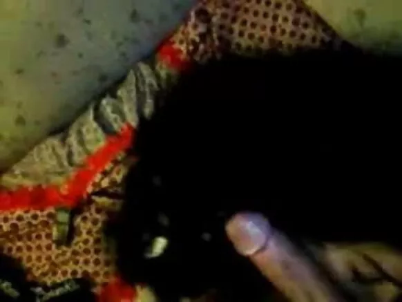 ඉන්දියානු ගෘහණියක් සරාගී චිත්රපටයක් පිඹයි