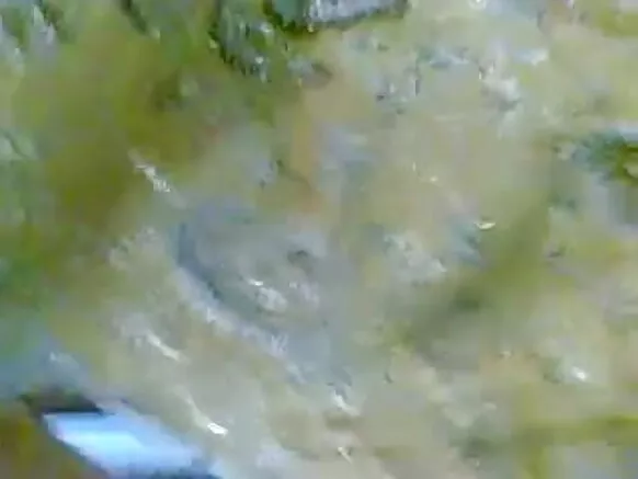 විස්මිත HD වලින් ඉන්දියානු ගැහැණු නව සරාගී ගැහැණු ඇඳුම්