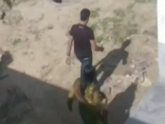 ඉන්දියානු සරාගී චිත්රපට ආරක්ෂණ වීඩියෝ ආරක්ෂාව