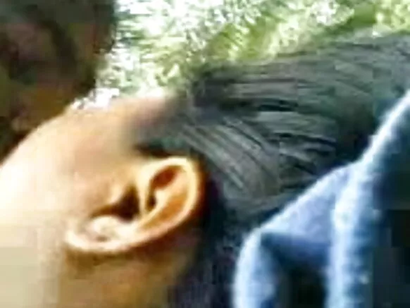 ඉන්දියානු විශ්ව විද්යාල ශිෂ්යයා - ලස්සන සරාගී BF චිත්රපටිය සඳහා සන්ධ්යාවක්