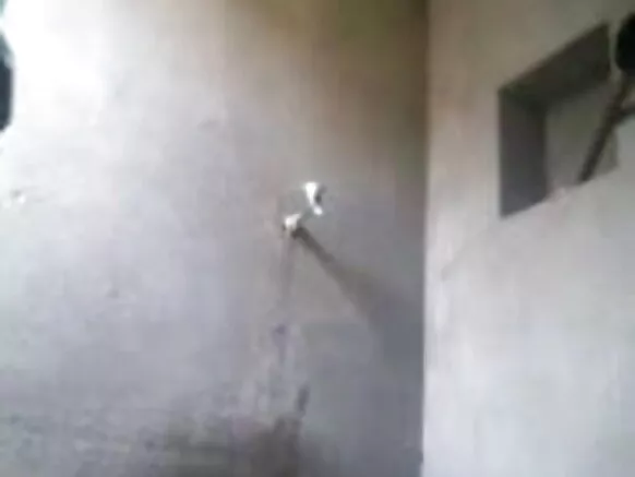 බංග්ලා කෙල්ල 29 ජංගම ඥාති සොහොයුරිය විසින් සැඟවුණු කැමරාවක් නැරඹීම හින්දි