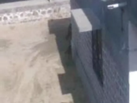 ඉන්දියානු චිත්රපට සරාගී ආරක්ෂාව පැහැදිලිව යවයි