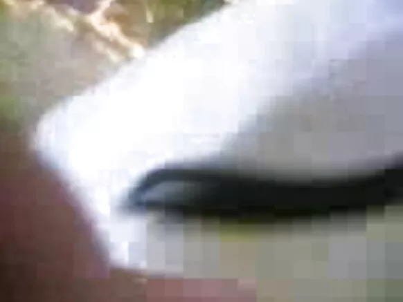 සරාගී ජංගම ලිංගික නිල් චිත්රපට පන්ජාබි එළිමහන්